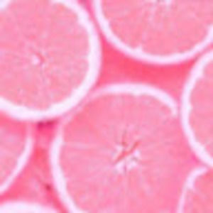 Meet your Posher, Zarah